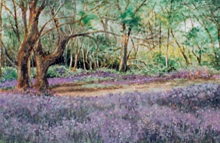 Blue Bells